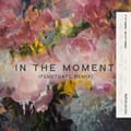 In The Moment (Fluctuate D&B Rmx) artwork
