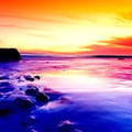 LIQUID SESSIONS VOL. 8 - Ft. Spectrasoul, Phloem, Eavesdrop, Total Science, Rowpieces, DRS, Lurch artwork