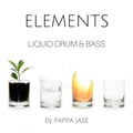 Elements - A Liquid Drum & Bass Podcast EP 22: Liquid Summer artwork