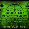 Show 173--2-10-28--ND-Skyz, Drum & Bass with DJ Pfeif artwork