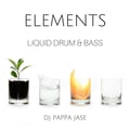 Elements - A Liquid Drum & Bass Podcast EP 25: Liquid Voices 3 artwork