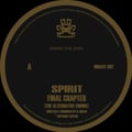 Show 201--9-8-18--In Memory of Spirit--Drum & Bass with DJ Pfeif artwork