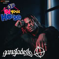 Dirtbox Recordings Presents "In Your House" 043- gANGLADESH artwork