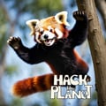 Hack The Planet 482 on 3-2-24 artwork