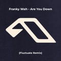 Are You Down (Fluctuate Remix) artwork