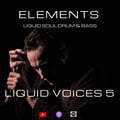 Elements - Liquid Soul Drum & Bass Podcast - Episode 38: Liquid Voices 5 artwork