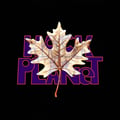 Hack The Planet 575 on 12-27-25 - Very Interesting DnB artwork