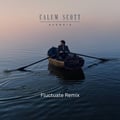 Die For You (Fluctuate Remix) artwork