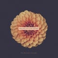 Falling In Love Again artwork