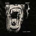 PARA - Verbal artwork
