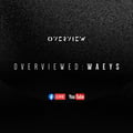 Overviewed: Waeys # 2 artwork