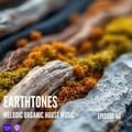 Earthtones - Episode 40 artwork