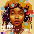 Earthtones - Episode 32 artwork