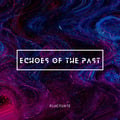Echoes Of The Past artwork