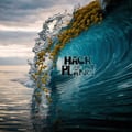 Hack The Planet 527 on 1-25-25 - Goldenrod artwork