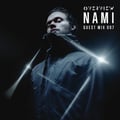 Overview Guest Mix 007: Nami artwork