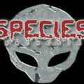 Lee UHF (Hardstyle Set)- Species Manchester 22nd June 2002 artwork