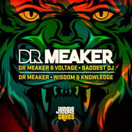 Baddest DJ - Radio Edit track artwork