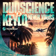 Never Yours - Dub track artwork