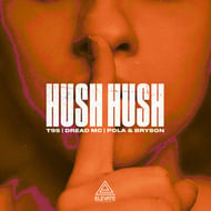 Hush Hush track artwork