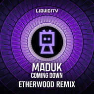 Coming Down - Etherwood Remix track artwork