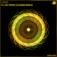 Ill Be There - Phloem Remix track artwork
