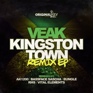 JNGL - RMS Remix track artwork