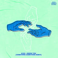 Know You - Something Something Remix track artwork