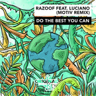 Do The Best You Can (feat. Luciano) - Motiv Remix track artwork