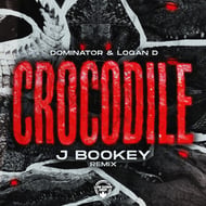 Crocodile - J Bookey Remix track artwork