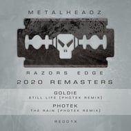 The Rain (2020 Remaster) - Photek Remix track artwork