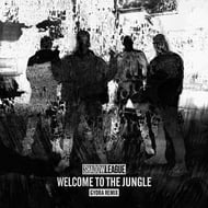 Welcome To The Jungle track artwork