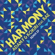 Harmony (feat. Rae) - The Prototypes Remix track artwork