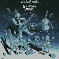 Perception - Melysma Remix track artwork