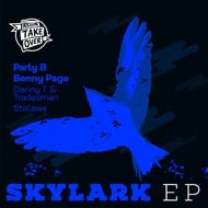 Skylark - Benny Page remix track artwork