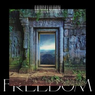 Freedom - Sub Focus & Wilkinson track artwork