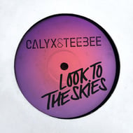 Look to the Skies track artwork