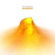 Amber - Commentary track artwork