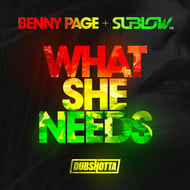 What She Needs track artwork