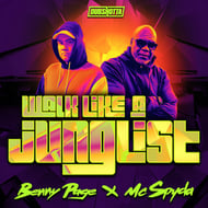 Walk Like A Junglist track artwork