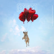 I Won't Let You Fall track artwork