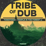 Forgotten Dubplate - Original Mix track artwork