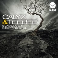 Stepping Stones track artwork