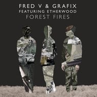 Forest Fires - Loire Remix track artwork