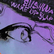 Wake Up Slap track artwork