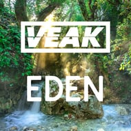 Eden track artwork