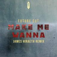 Make Me Wanna - James Hiraeth Remix track artwork