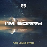 I'm Sorry track artwork