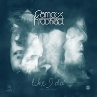 Like I Do (feat. James Hersey) track artwork