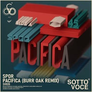 Pacifica - Burr Oak Remix track artwork